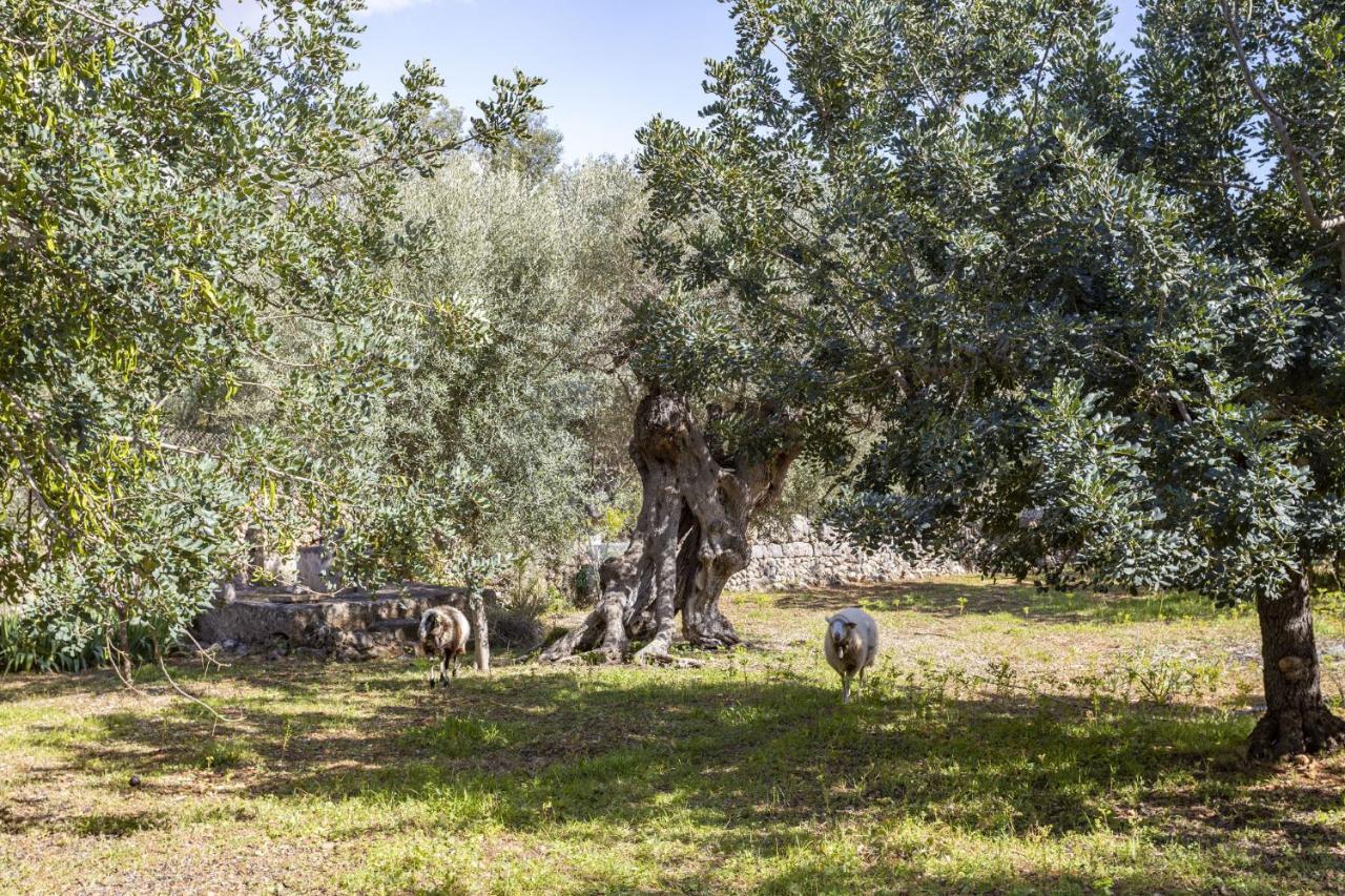 Finca Barons Bunyola Kültér fotó